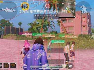 和平精英开外挂人多么（和平精英开外挂的人多不多）